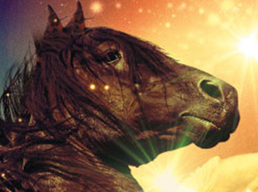 THE GALA OF ROYAL HORSES