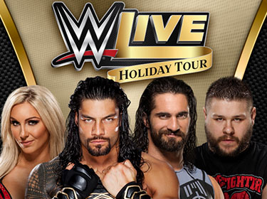 WWE LIVE HOLIDAY TOUR